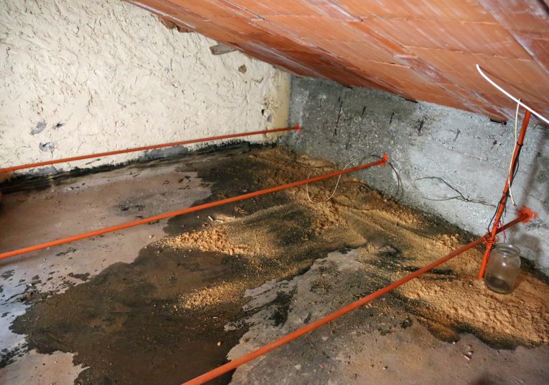 Ceiling Leak Repair Service in Summerville, SC