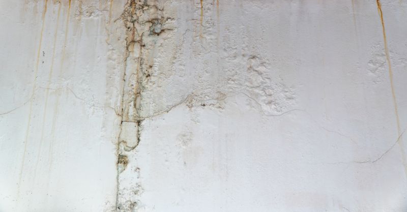 Ceiling Leak Repair Service in Summerville, SC