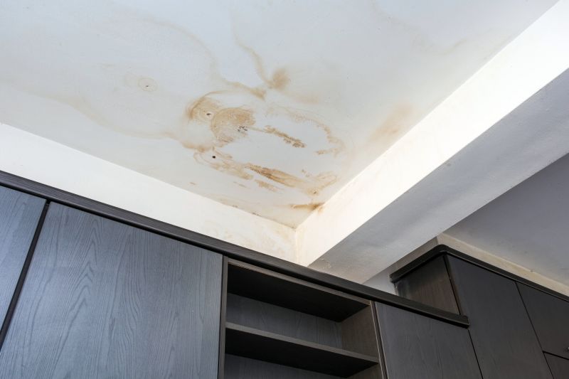Ceiling Removal Service in Denver County, CO