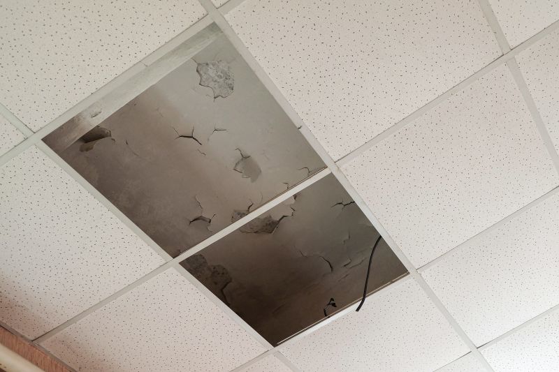 Leaking Ceiling Repair in Littleton, CO